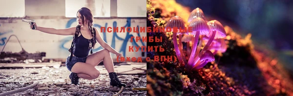 MDMA Новозыбков