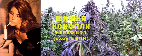 прущие грибы Абаза