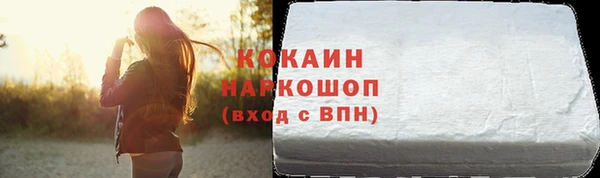прущие грибы Абаза