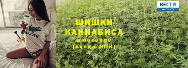 прущие грибы Абаза