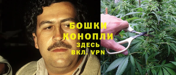 MDMA Новозыбков