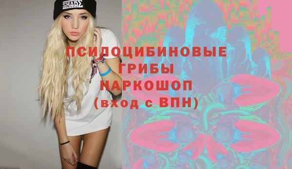 МДПВ Новокубанск