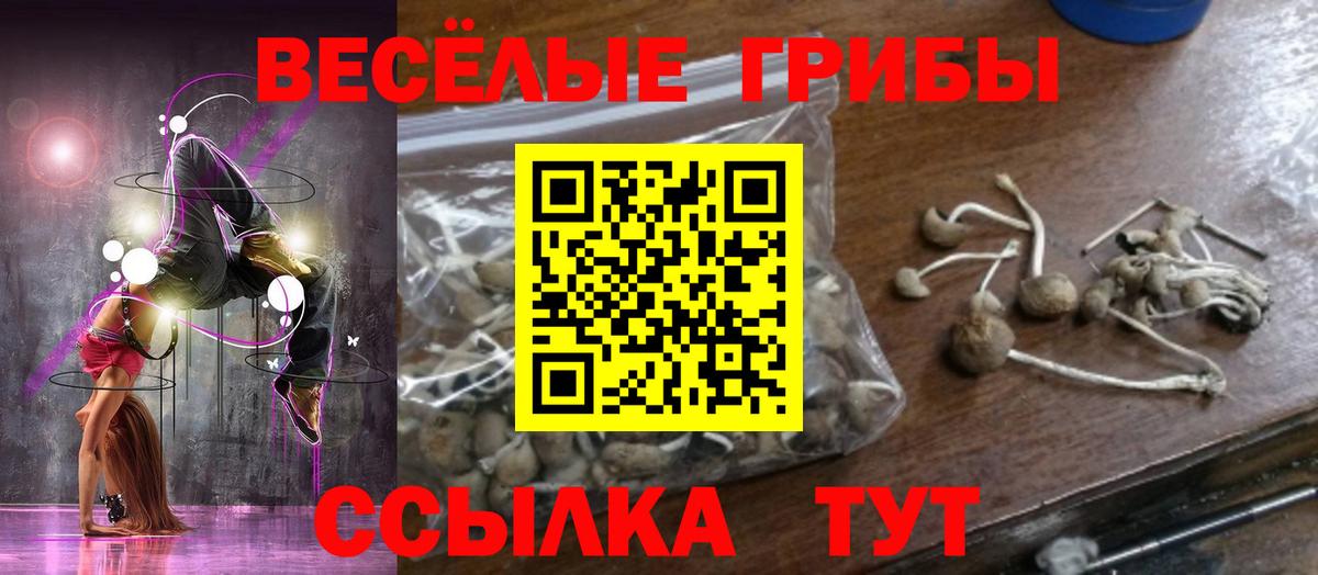 Кизляр  Псилоцибиновые грибы Magic Shrooms  Вход с VPN  Галлюциногенные грибы прущие грибы 